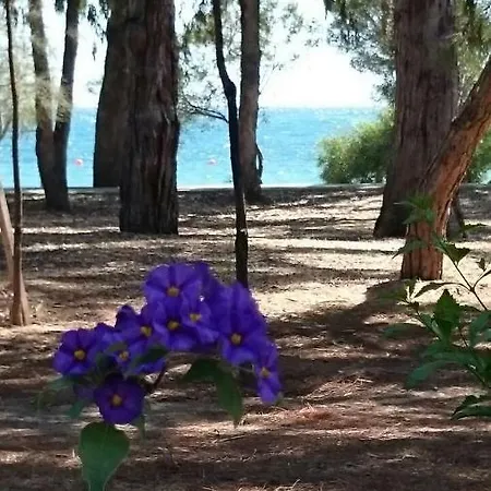 Мезонетт * Limassol