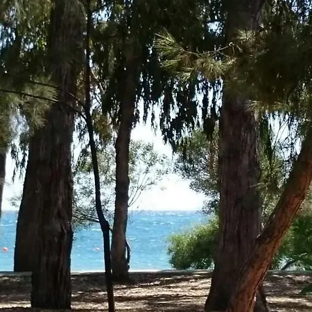 Мезонетт Limassol